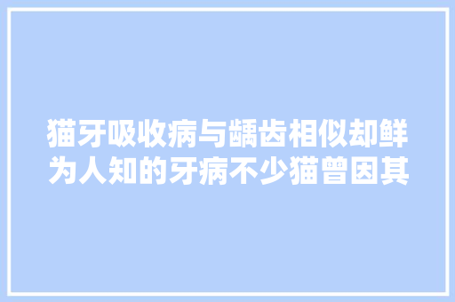 猫牙吸收病与龋齿相似却鲜为人知的牙病不少猫曾因其失落牙