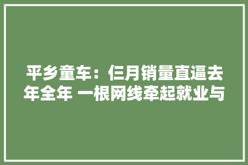 平乡童车：仨月销量直逼去年全年 一根网线牵起就业与消费