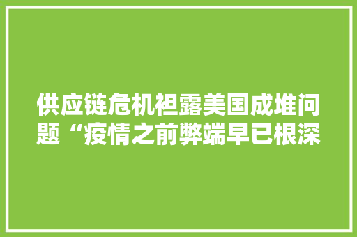 供应链危机袒露美国成堆问题“疫情之前弊端早已根深蒂固”