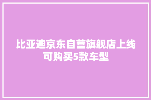 比亚迪京东自营旗舰店上线可购买5款车型