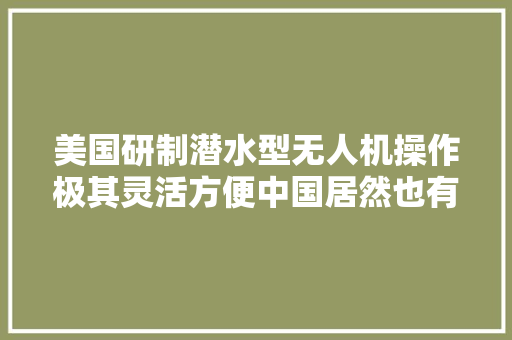 美国研制潜水型无人机操作极其灵活方便中国居然也有？