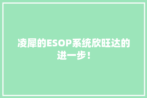 凌犀的ESOP系统欣旺达的进一步！