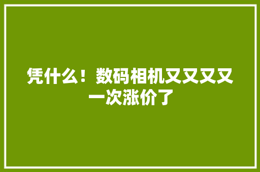 凭什么！数码相机又又又又一次涨价了