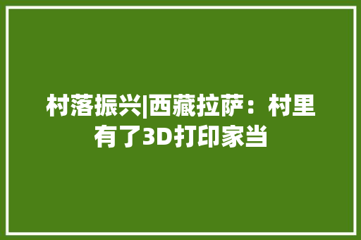 村落振兴|西藏拉萨：村里有了3D打印家当