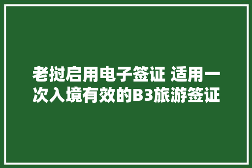 老挝启用电子签证 适用一次入境有效的B3旅游签证