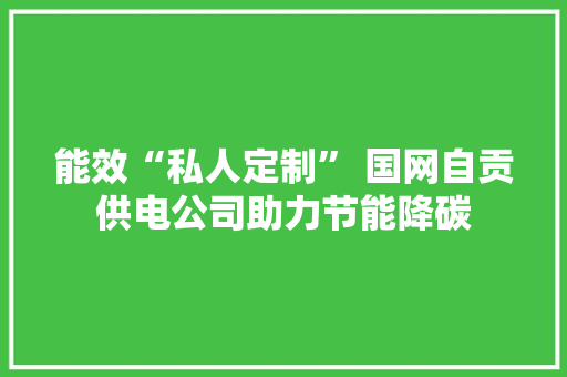 能效“私人定制” 国网自贡供电公司助力节能降碳