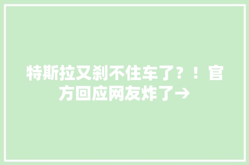 特斯拉又刹不住车了？！官方回应网友炸了→