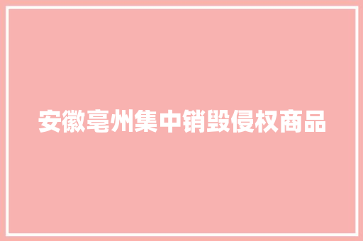 安徽亳州集中销毁侵权商品