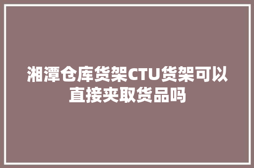 湘潭仓库货架CTU货架可以直接夹取货品吗