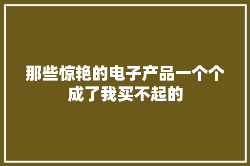 那些惊艳的电子产品一个个成了我买不起的