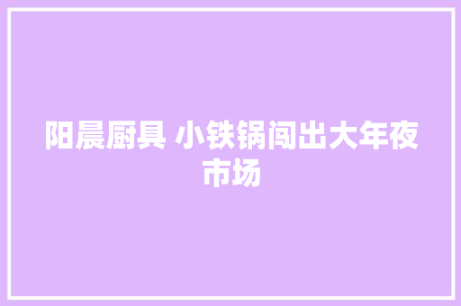 阳晨厨具 小铁锅闯出大年夜市场