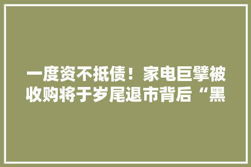一度资不抵债！家电巨擘被收购将于岁尾退市背后“黑手”是...