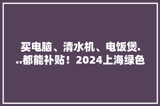 买电脑、清水机、电饭煲...都能补贴！2024上海绿色智能家电消费补贴开始了今朝仅限线下门店