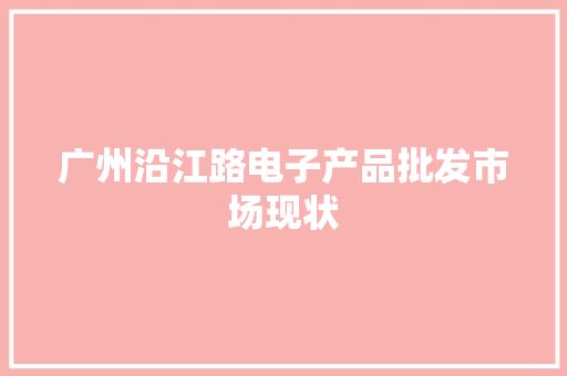 广州沿江路电子产品批发市场现状