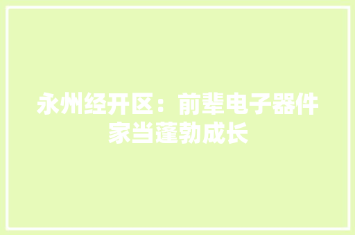 永州经开区：前辈电子器件家当蓬勃成长