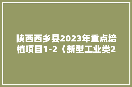 陕西西乡县2023年重点培植项目1-2（新型工业类26个80.3亿元）