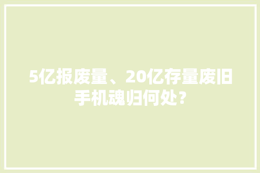 5亿报废量、20亿存量废旧手机魂归何处？