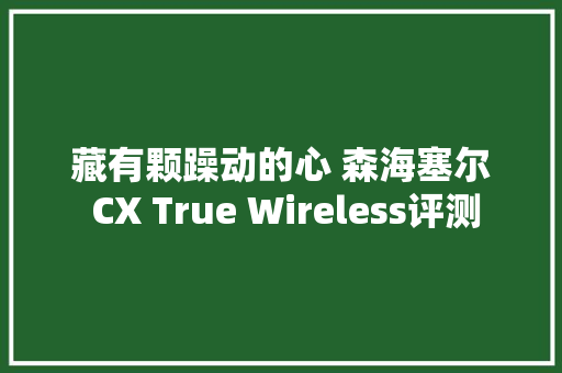 藏有颗躁动的心 森海塞尔 CX True Wireless评测
