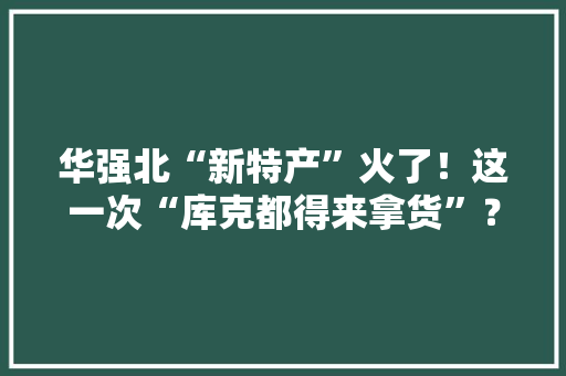 华强北“新特产”火了！这一次“库克都得来拿货”？