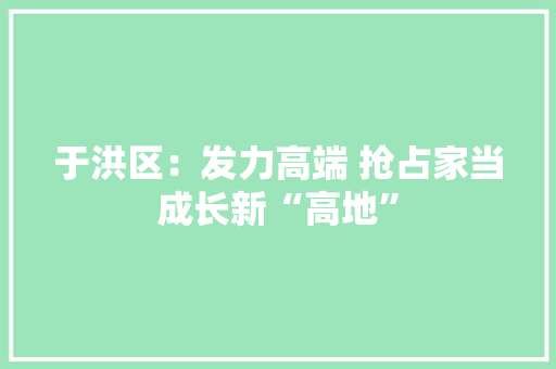 于洪区：发力高端 抢占家当成长新“高地”