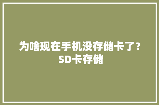 为啥现在手机没存储卡了？ SD卡存储