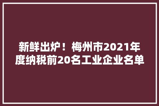 新鲜出炉！梅州市2021年度纳税前20名工业企业名单公布