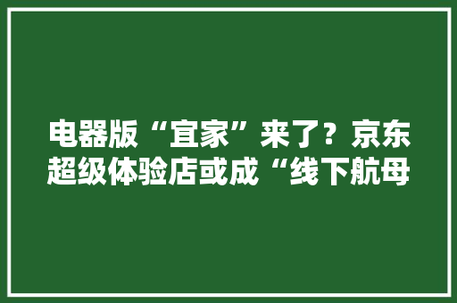 电器版“宜家”来了？京东超级体验店或成“线下航母”