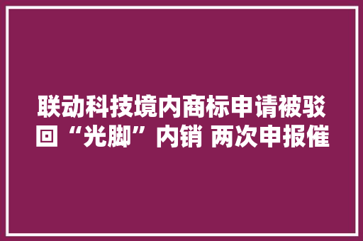联动科技境内商标申请被驳回“光脚”内销 两次申报催生合同信披抵牾
