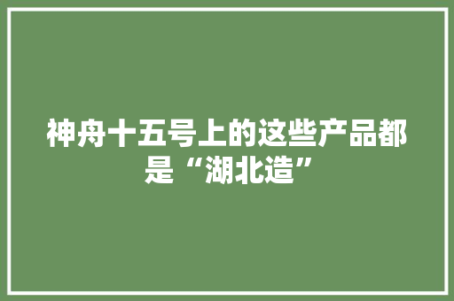 神舟十五号上的这些产品都是“湖北造”