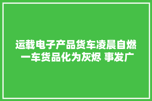 运载电子产品货车凌晨自燃 一车货品化为灰烬 事发广昆高速贵港段