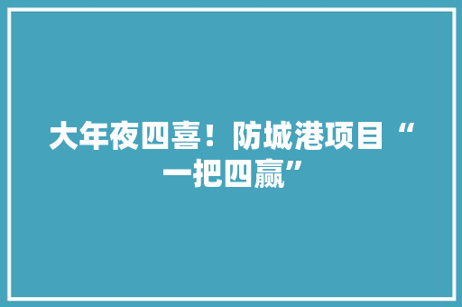 大年夜四喜！防城港项目“一把四赢”