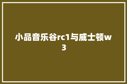 小品音乐谷rc1与威士顿w3