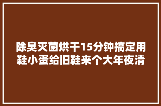 除臭灭菌烘干15分钟搞定用鞋小蛋给旧鞋来个大年夜清洁