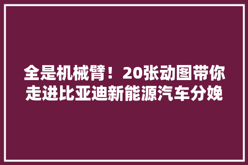 全是机械臂！20张动图带你走进比亚迪新能源汽车分娩线