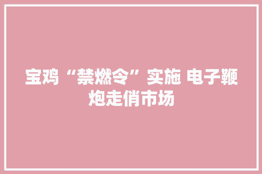 宝鸡“禁燃令”实施 电子鞭炮走俏市场