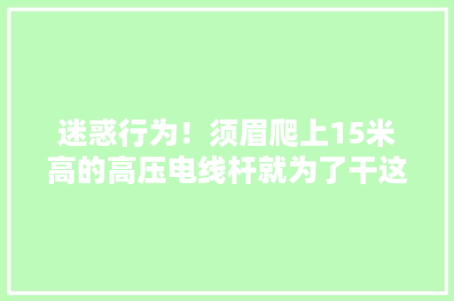 迷惑行为！须眉爬上15米高的高压电线杆就为了干这事？