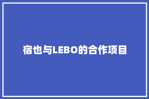 宿也与LEBO的合作项目