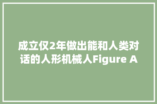 成立仅2年做出能和人类对话的人形机械人Figure AI什么来头？