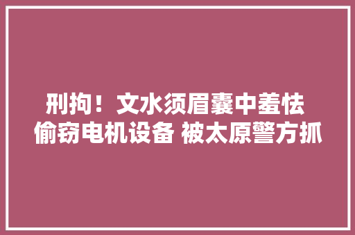 刑拘！文水须眉囊中羞怯 偷窃电机设备 被太原警方抓获