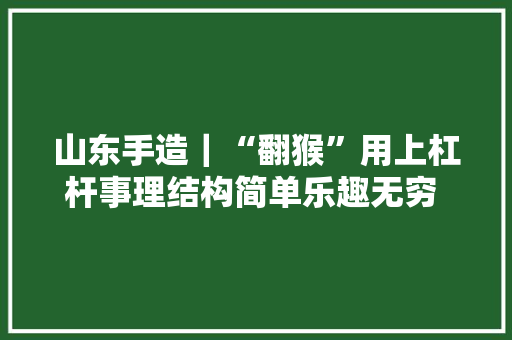 山东手造｜“翻猴”用上杠杆事理结构简单乐趣无穷 济南老玩具拉满回忆感