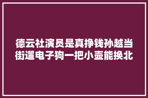 德云社演员是真挣钱孙越当街遛电子狗一把小壶能换北京一套房