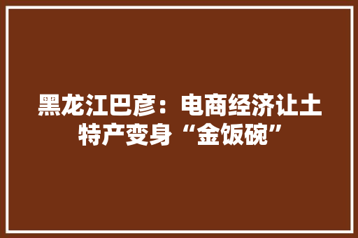 黑龙江巴彦：电商经济让土特产变身“金饭碗”