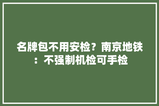 名牌包不用安检？南京地铁：不强制机检可手检