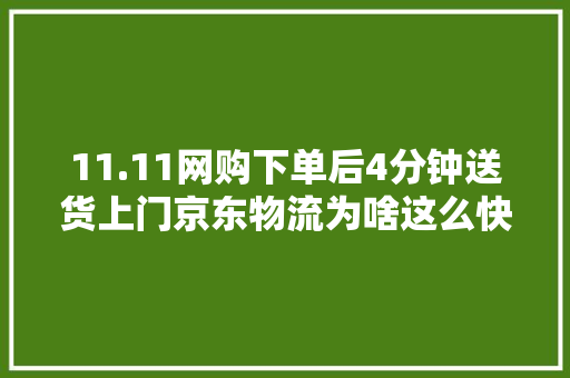 11.11网购下单后4分钟送货上门京东物流为啥这么快