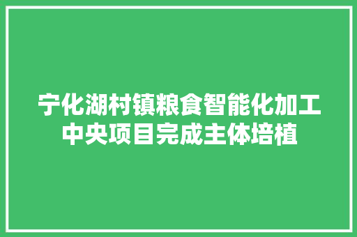 宁化湖村镇粮食智能化加工中央项目完成主体培植
