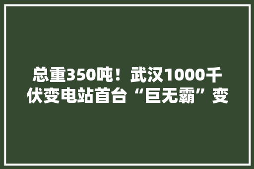 总重350吨！武汉1000千伏变电站首台“巨无霸”变压器进场