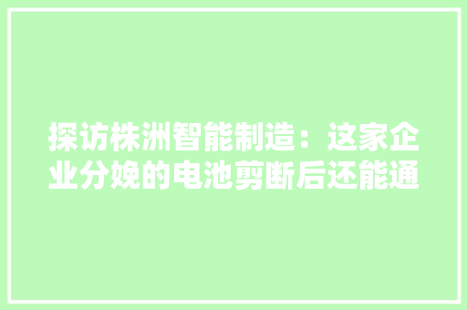 探访株洲智能制造：这家企业分娩的电池剪断后还能通电