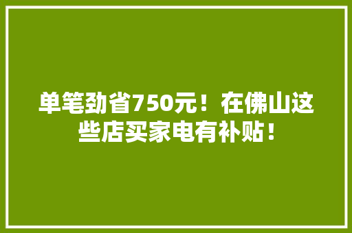 单笔劲省750元！在佛山这些店买家电有补贴！