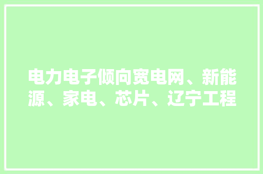电力电子倾向宽电网、新能源、家电、芯片、辽宁工程技能