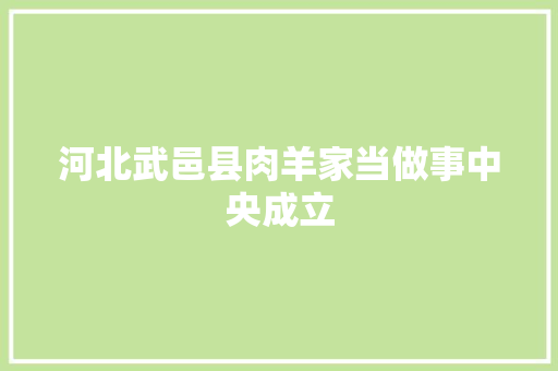 河北武邑县肉羊家当做事中央成立